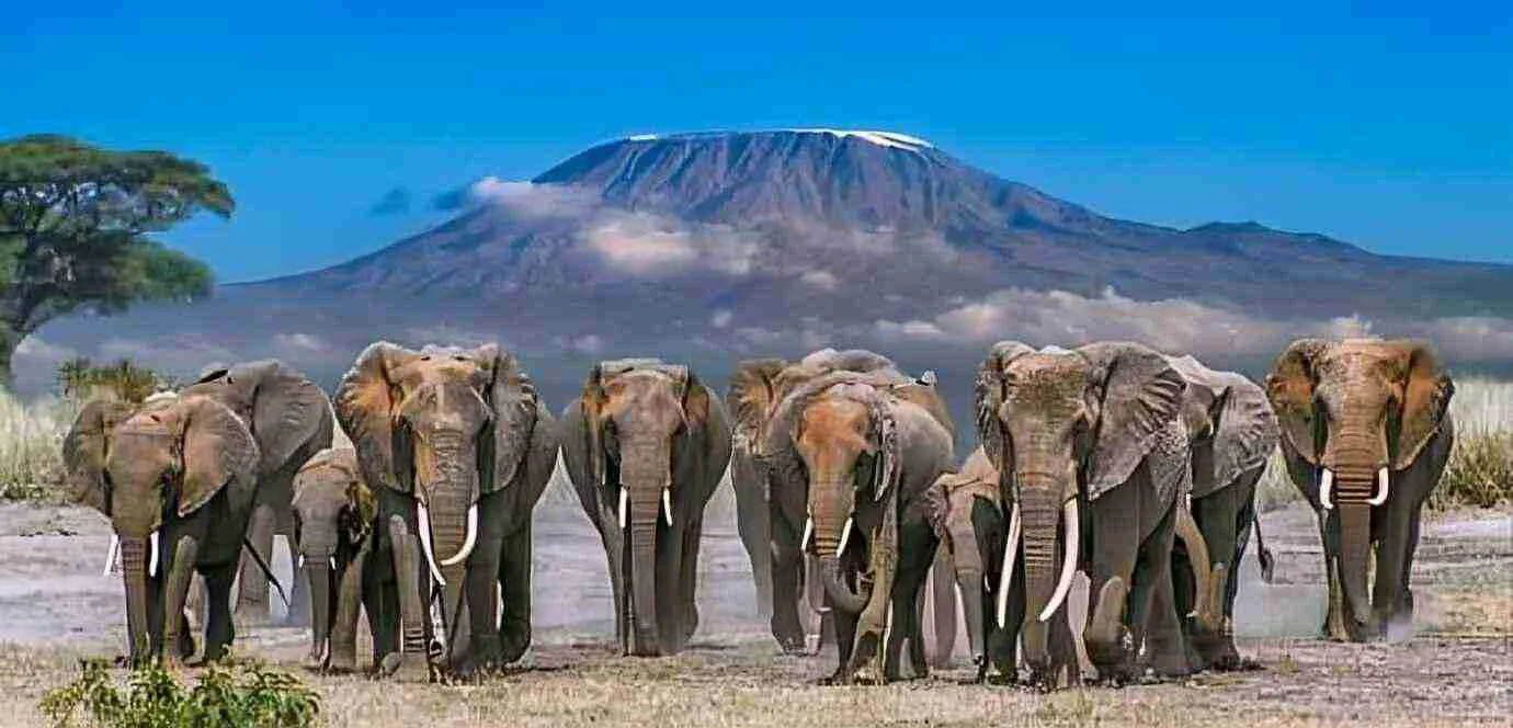 Ngorongoro Conservancy safari