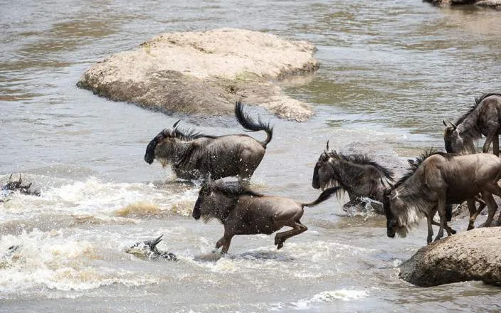 Arusha National Park