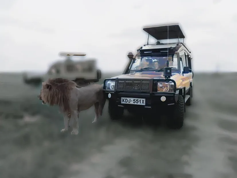 8-Day Kenya Classic Wildlife & Birding Safari