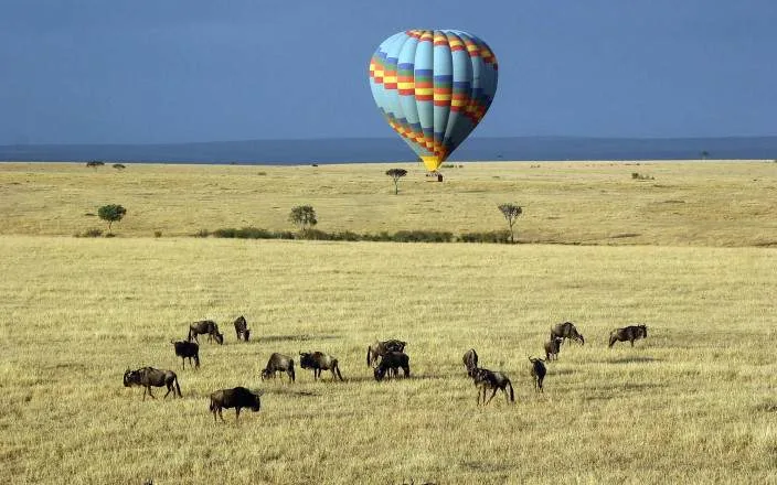 Tanzania safari destination