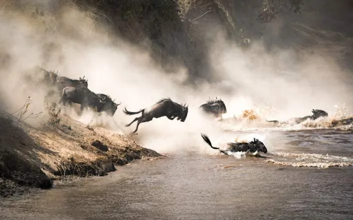 Ngorongoro Conservancy landscape