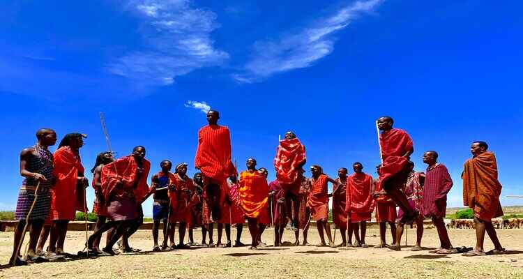 Cultural Safari
