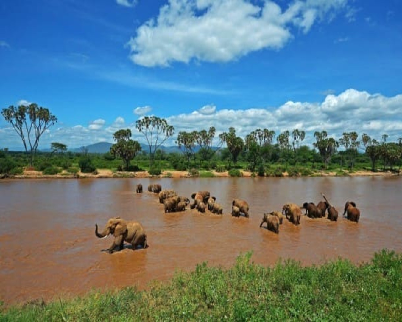 tours/extra-miles-kenya-safaris-to-aberdare,-sweetwaters-&-maasai-mara