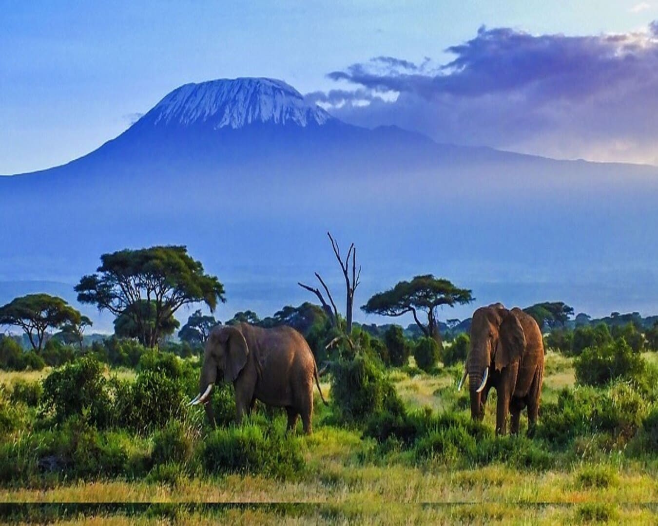 tours/3-day-adventure-in-amboseli-national-park
