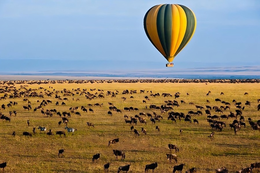 Ballon Safari