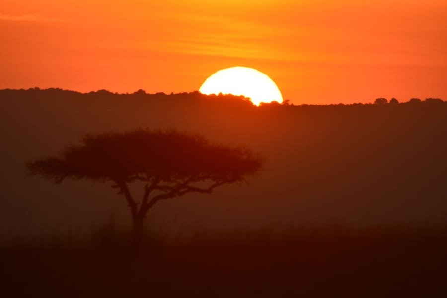 tours/7-days-kenya-tanzania-safari-expedition-via-nakuru,-mara,-serengeti-and-ngorongoro