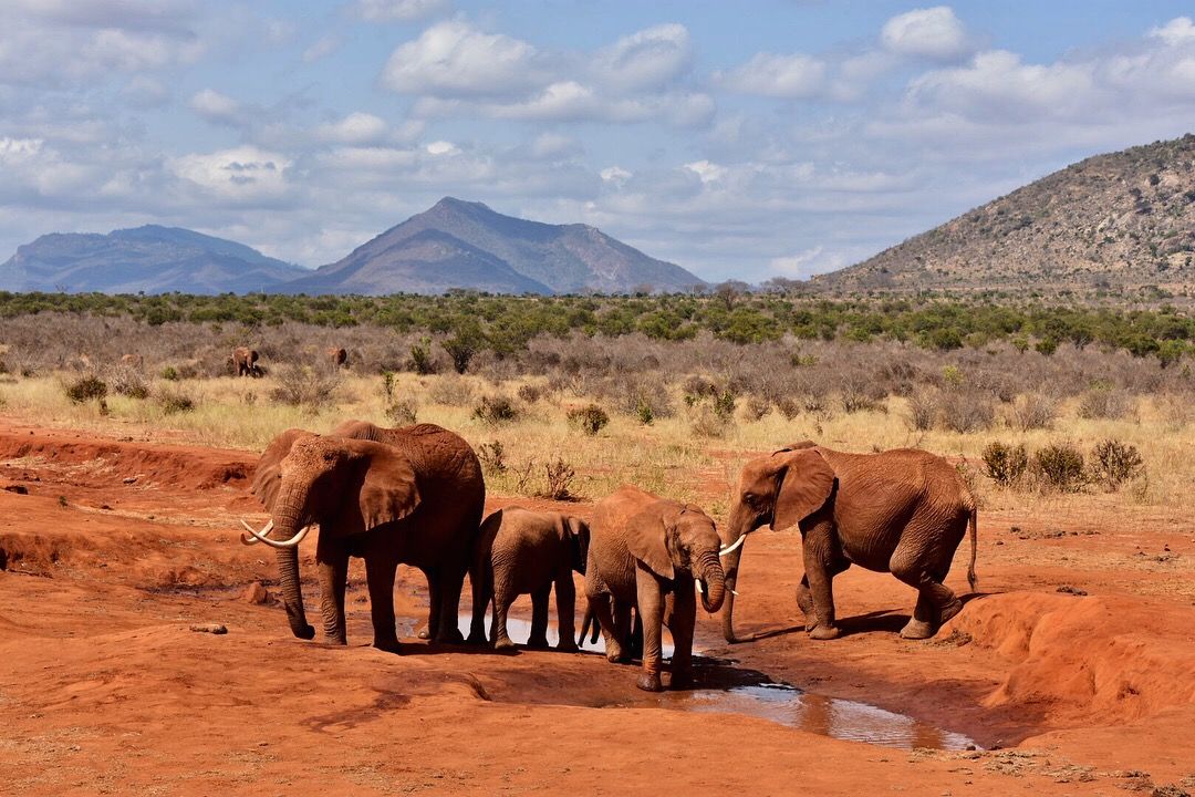 3-Day Tsavo East Safari from Mombasa