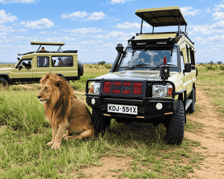 4-Day Ultra-Luxury Kenya Flying Safari