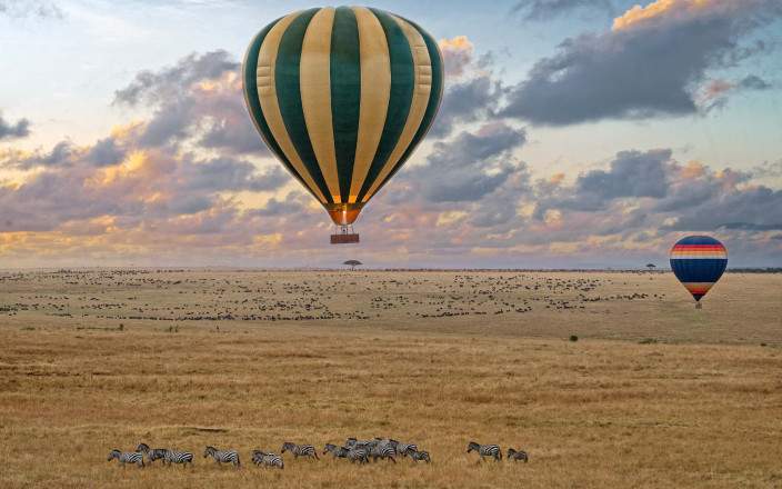 8-Day Signature Journey of Wildlife, Wilderness & Coastal Luxury