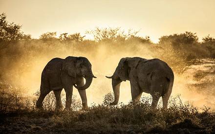 3 Days Amboseli National Park Safari