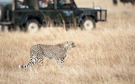 3 Days Maasai Mara Classic Safari