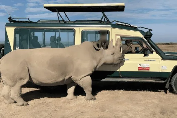 4-Day Mount Kenya & Ol Pejeta Safari