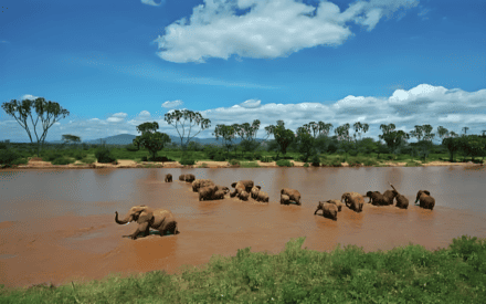 10-Day Kenya Safari