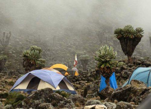 8-Day Mount Kilimanjaro Hiking & Summit Adventure