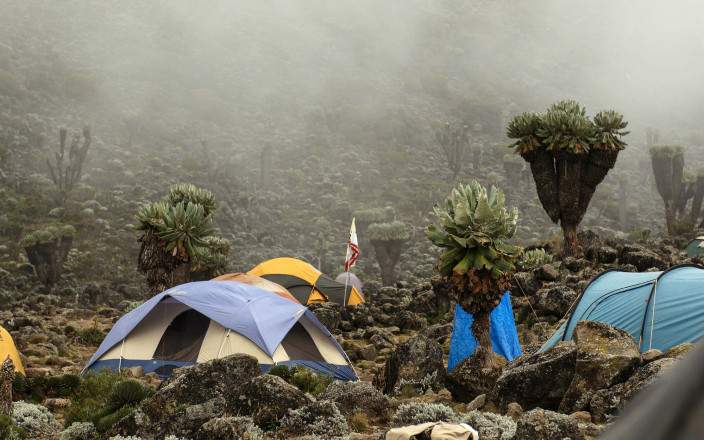 8-Day Mount Kilimanjaro Hiking & Summit Adventure
