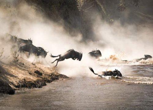 4-Day Wildebeest Migration Safari in the Masai Mara