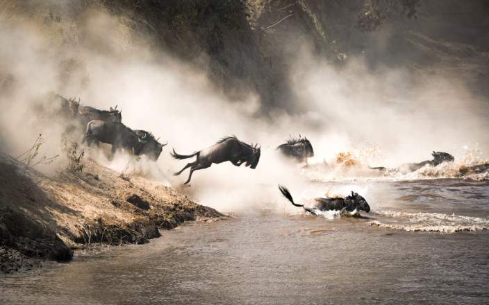 4-Day Wildebeest Migration Safari in the Masai Mara