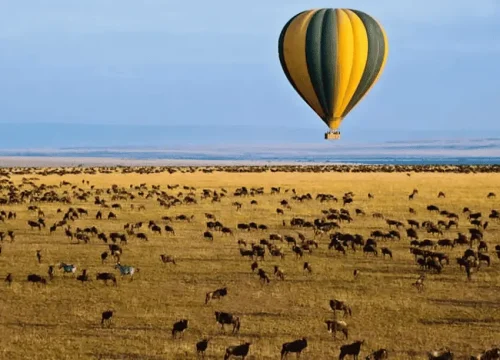 Exclusive 2026 Wildebeest Migration Safari Masai Mara