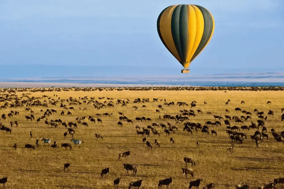 Exclusive 2026 Wildebeest Migration Safari Masai Mara