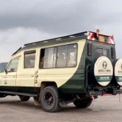 Kenya Safari Adventure