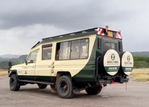 3 Days Midrange Safari to Amboseli National Park