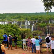 Game Safari and Holiday Beach Combo