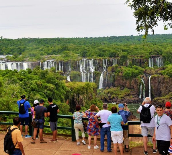 Game Safari and Holiday Beach Combo