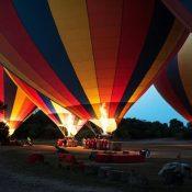 Balloon Safari