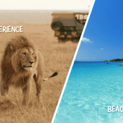 Bush & Beach Safari Combo in Kenya