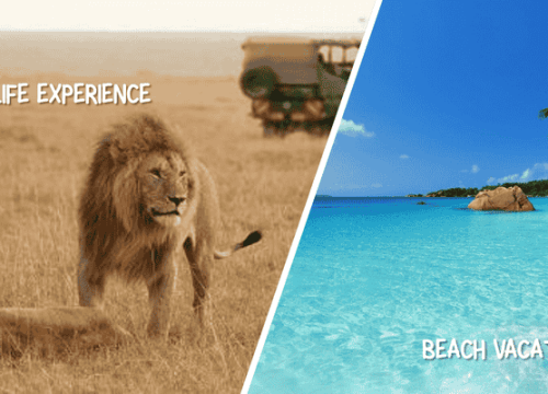 Bush & Beach Safari Combo in Kenya