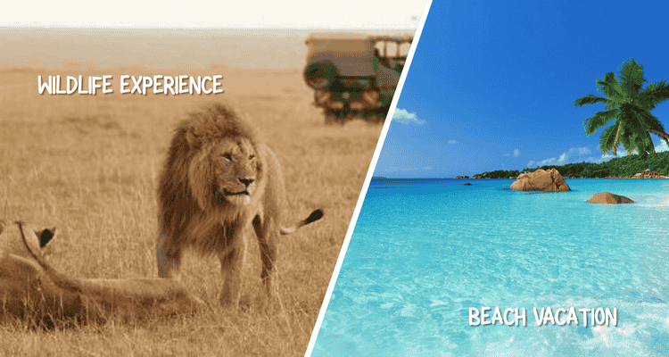 Bush & Beach Safari Combo in Kenya